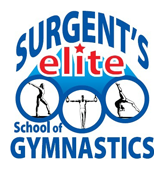 Freestyle Gymnastics Classes